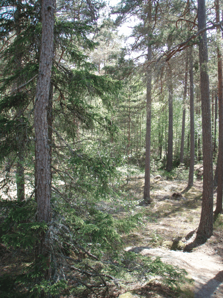 Skrmavbild2013-05-25kl.16.37.30.png