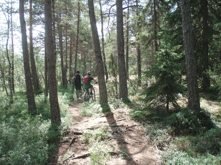 Skrmavbild2013-06-29kl.17.39.16.png
