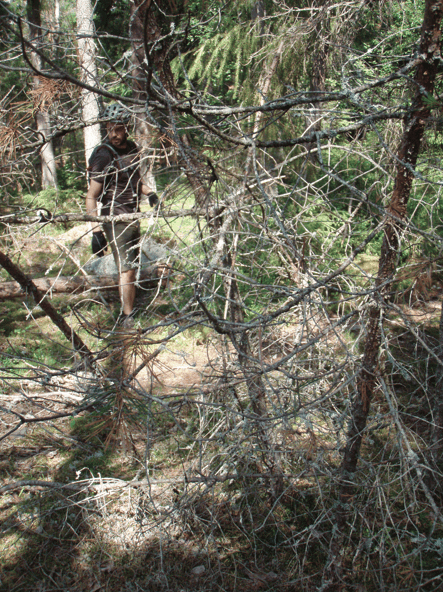 Skrmavbild2013-06-29kl.17.39.52.png
