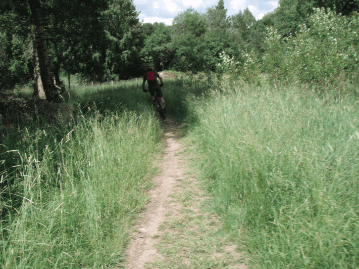 Skrmavbild2013-06-29kl.17.44.23.png