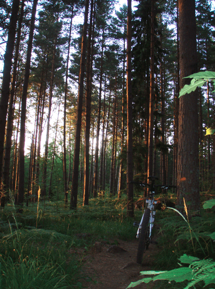 Skrmavbild2013-07-06kl.22.05.17.png
