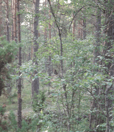 Skrmavbild2013-07-08kl.21.51.02.png