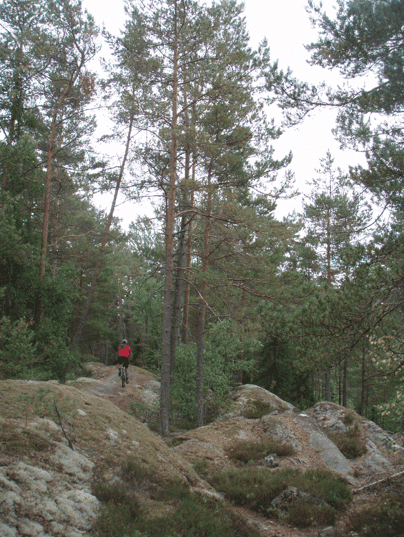 Skrmavbild2013-07-15kl.16.49.17.png