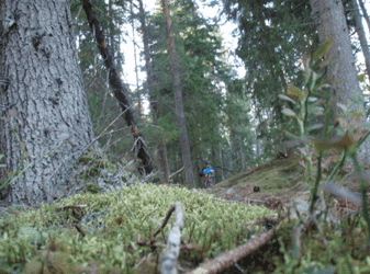 Skrmavbild2013-08-12kl.21.12.47.png