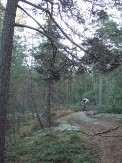 Skrmavbild2013-08-12kl.21.13.05.png