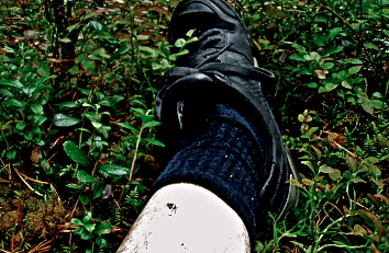 Skrmavbild2013-08-17kl.18.04.59.png