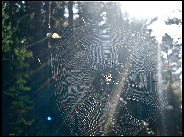 Skrmavbild2013-09-07kl.18.14.04.png