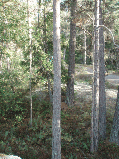 Skrmavbild2013-09-07kl.19.35.00.png