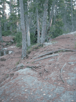 Skrmavbild2013-11-24kl.14.21.01.png