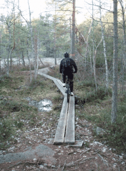 Skrmavbild2013-11-24kl.14.21.11.png