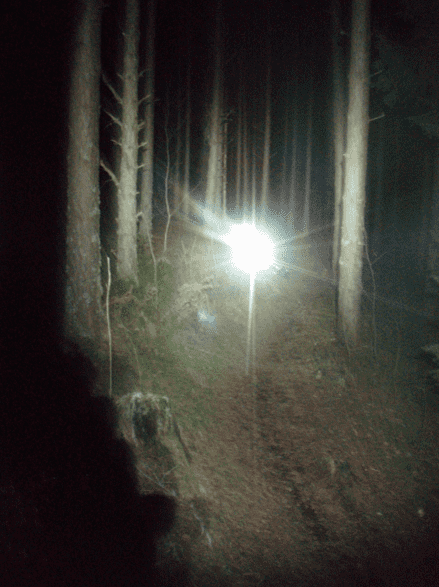 Skrmavbild2013-12-01kl.18.31.58.png