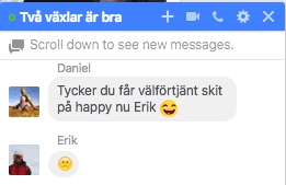 Skarmavbild2017-05-15kl.20.41.28.png