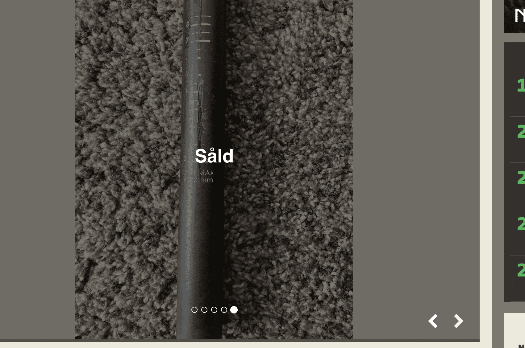 Skärmavbild 2021-05-19 kl. 13.22.43.png