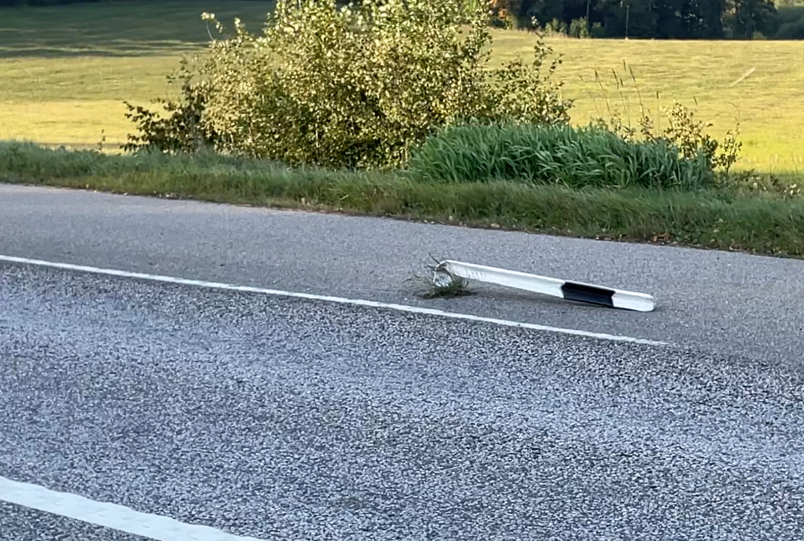 Skärmavbild 2024-11-18 kl. 10.35.55.png