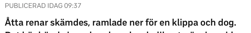 Skärmavbild 2025-02-04 kl. 09.54.59.webp