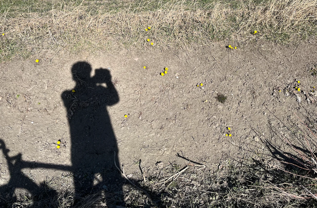 Skärmavbild 2025-03-19 kl. 15.43.22.webp