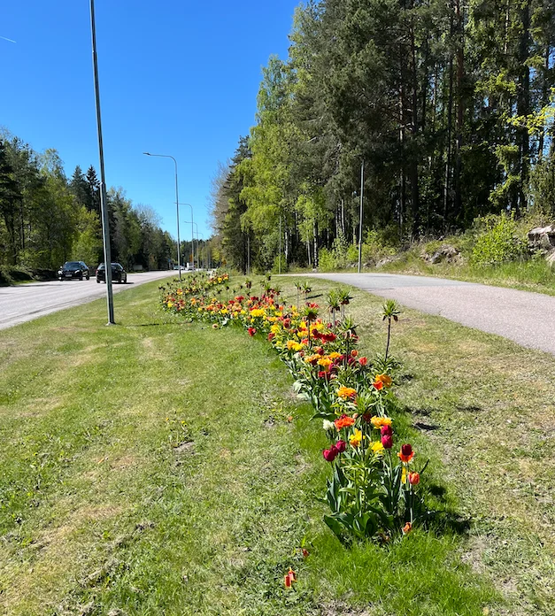 Skärmavbild 2025-05-19 kl. 18.37.46.webp