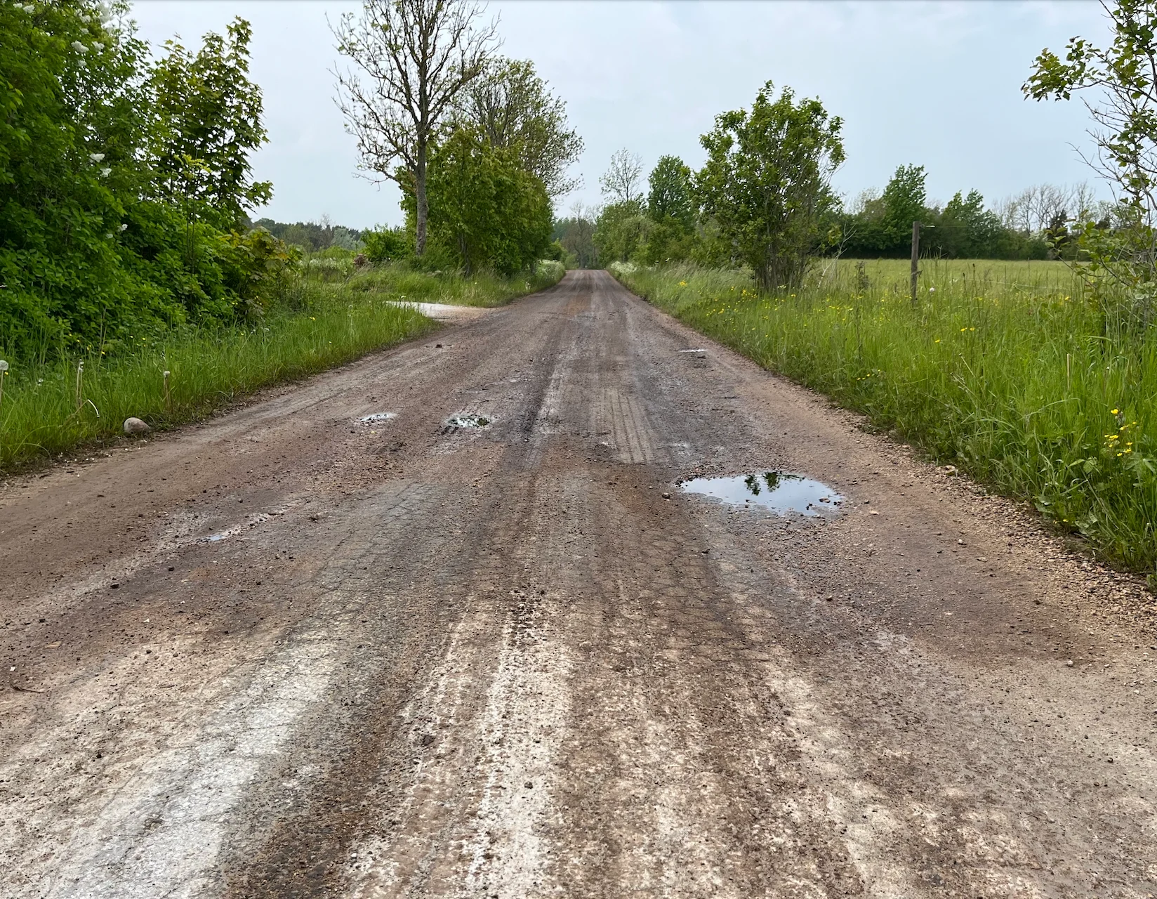 Skärmavbild 2025-06-04 kl. 13.07.06.webp