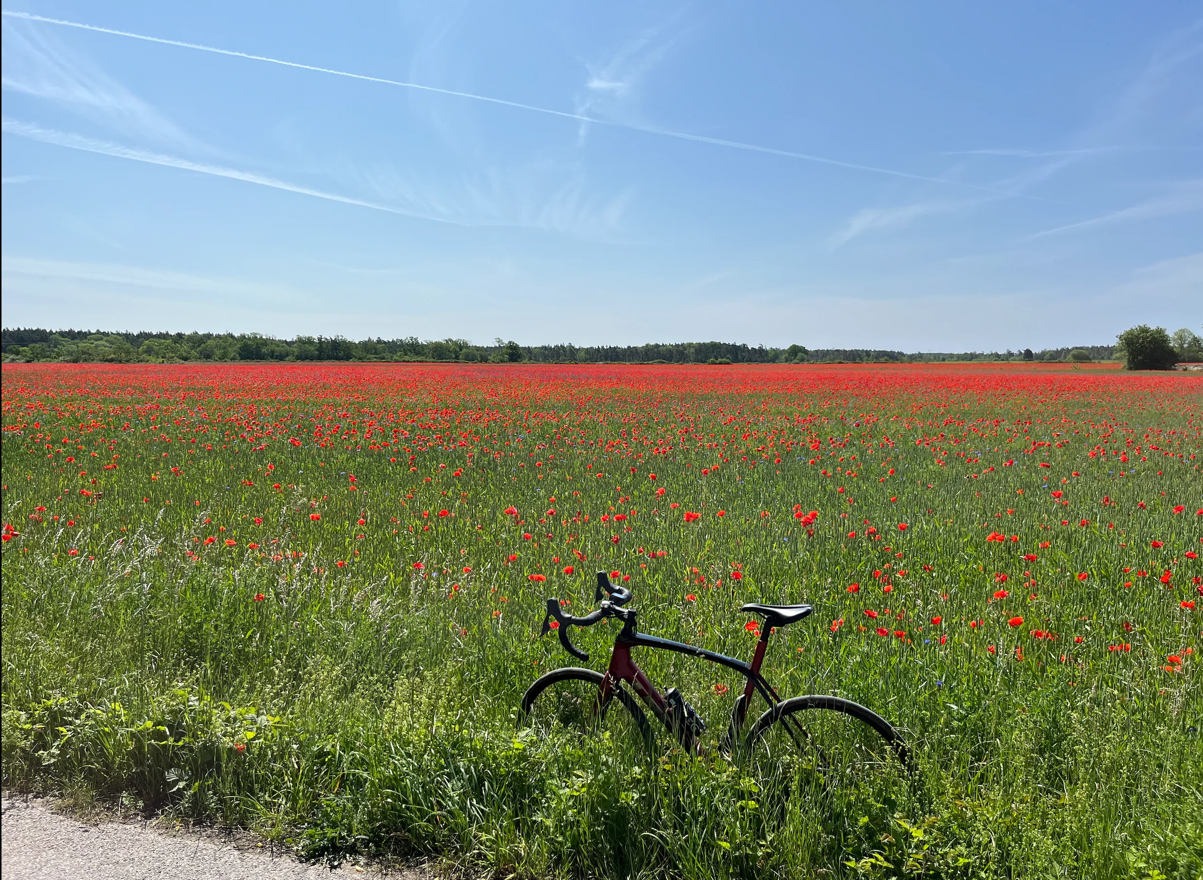 Skärmavbild 2025-06-17 kl. 12.42.15.webp