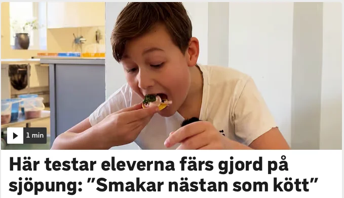 Skärmavbild 2026-03-20 kl. 17.47.42.webp