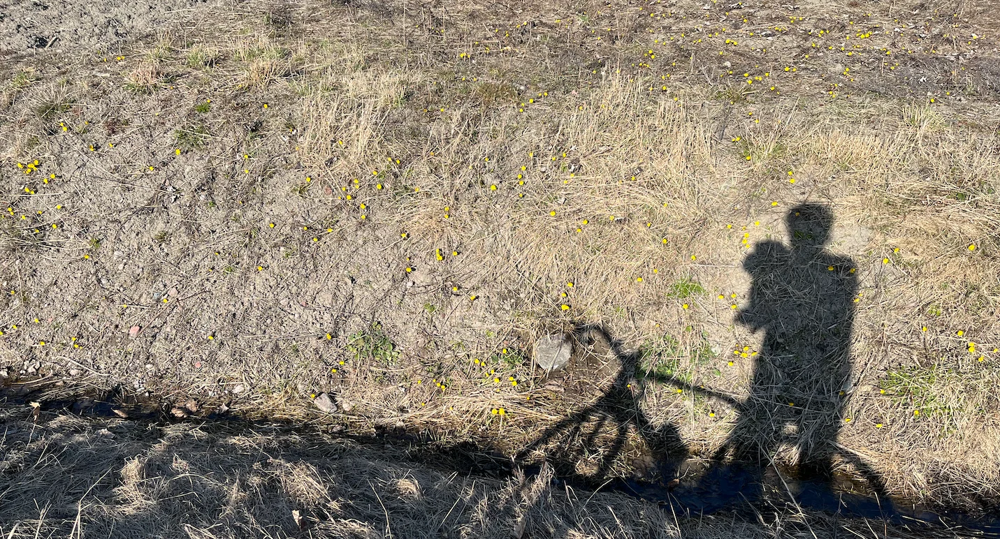 Skärmavbild 2026-03-23 kl. 16.07.11.webp