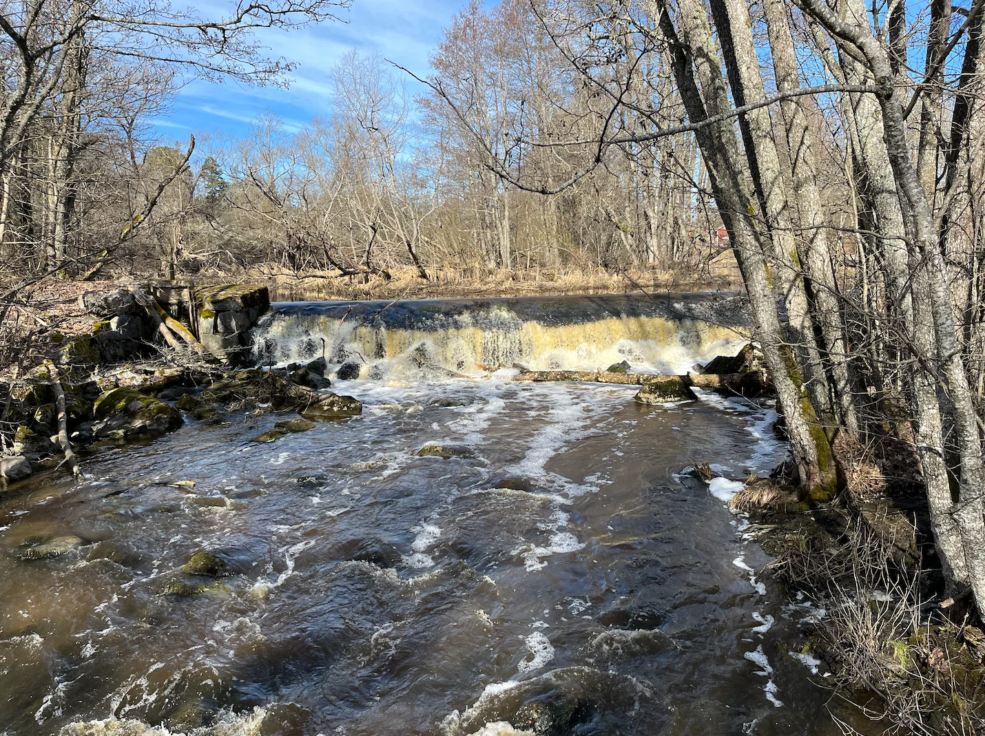 Skärmavbild 2026-04-01 kl. 14.05.53.webp