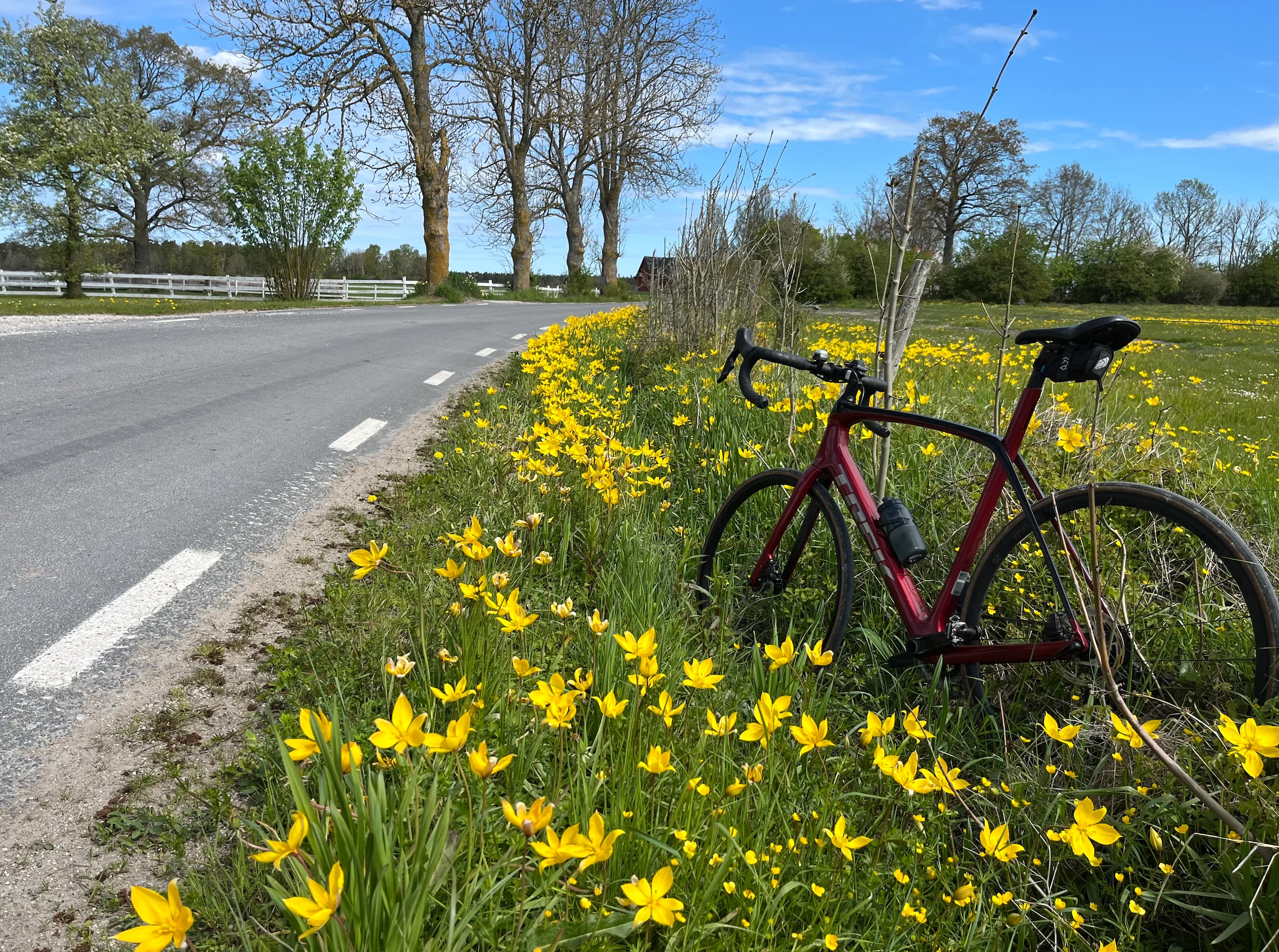 Skärmavbild 2026-05-18 kl. 15.01.40.webp