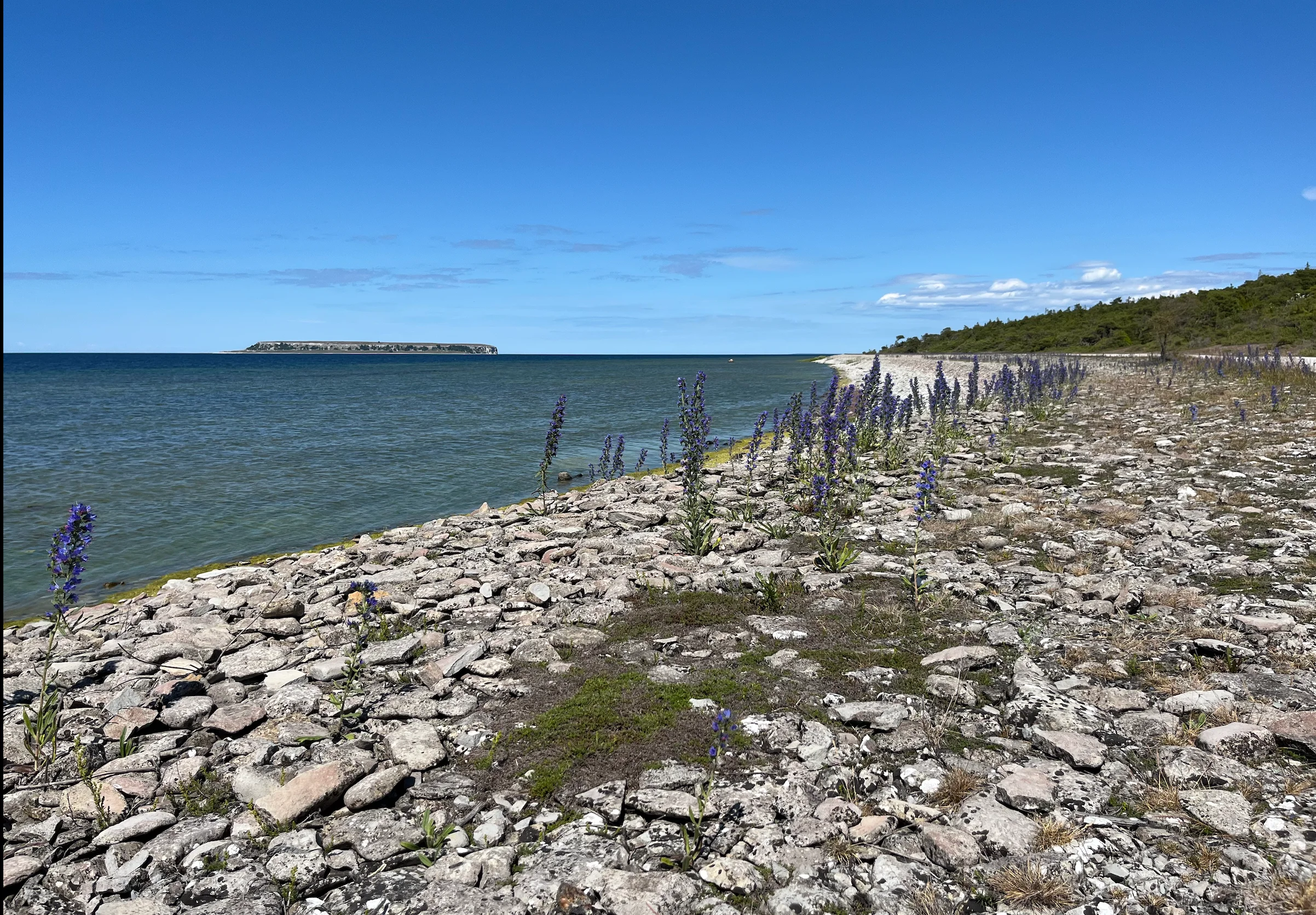 Skärmavbild 2026-06-23 kl. 14.09.01.webp