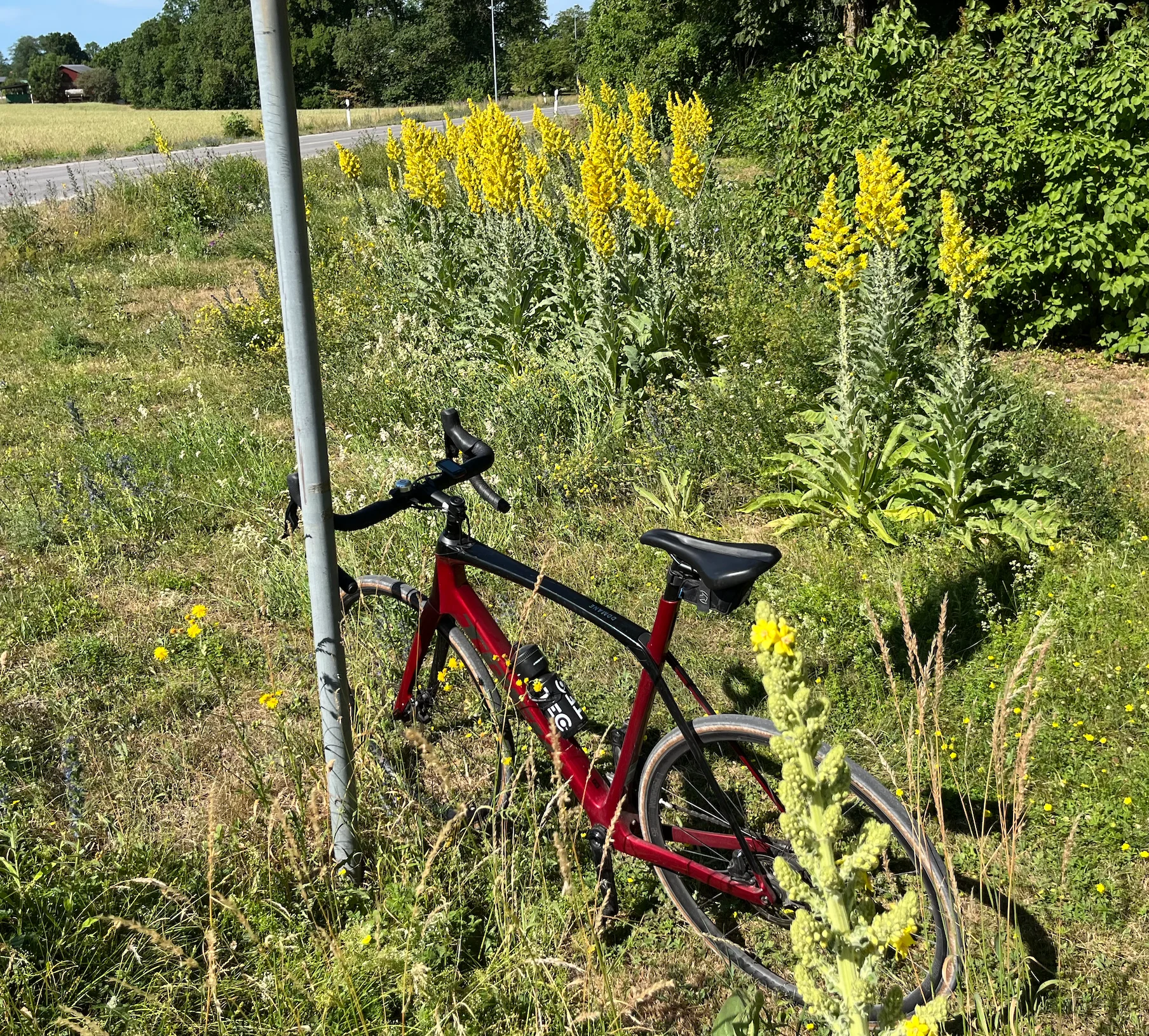 Skärmavbild 2026-07-02 kl. 13.06.53.webp