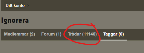 Skärmbild 2024-08-16 174829.png