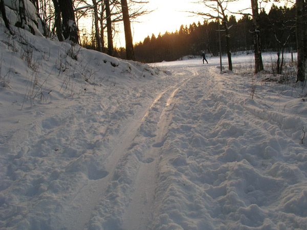 skatås_2.jpg