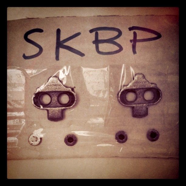 SKBP.jpg