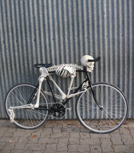 skeleton-bike-1.jpg ht=514