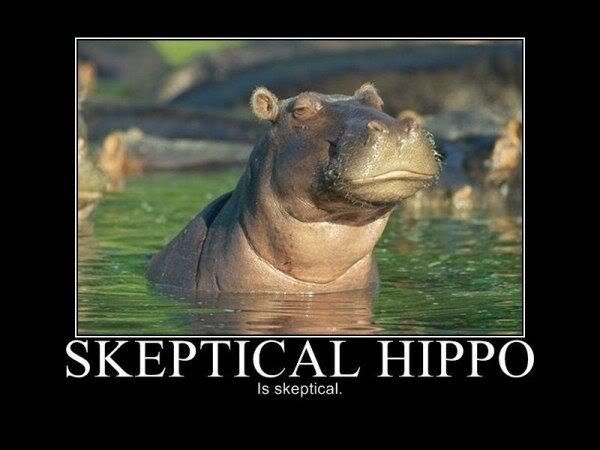 skeptical_hippo.jpg ht=450