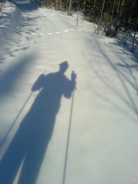 skidpendling.JPG ht=725