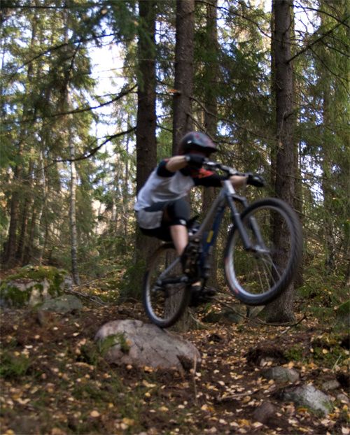 skog.jpg ht=622