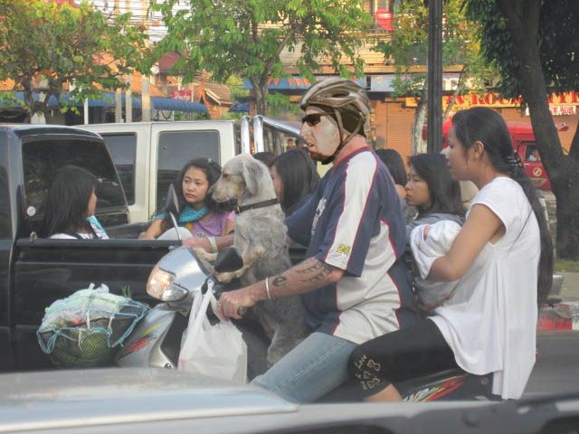 skog_thai_IMG_1008.jpg ht=480