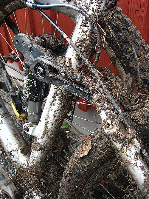 Skoglingsotoppsade.jpg ht=667