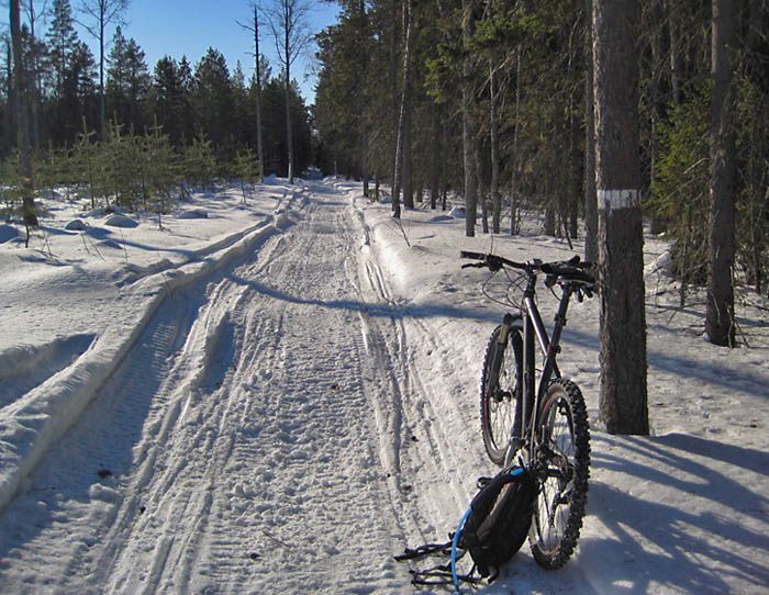 skoter2.jpg ht=542