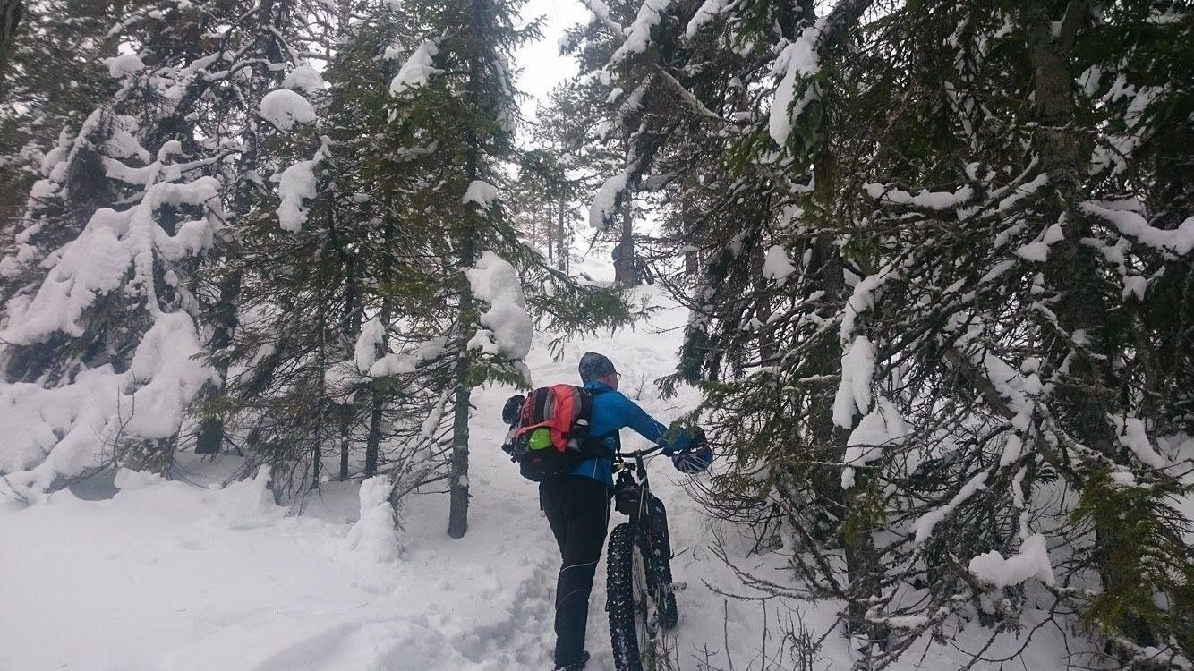 Skuleskogen-fatbike-klttring.jpg