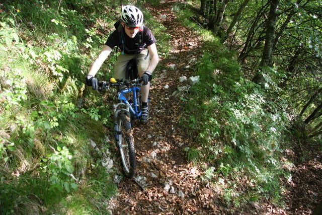Slovenien2009451.jpg ht=427