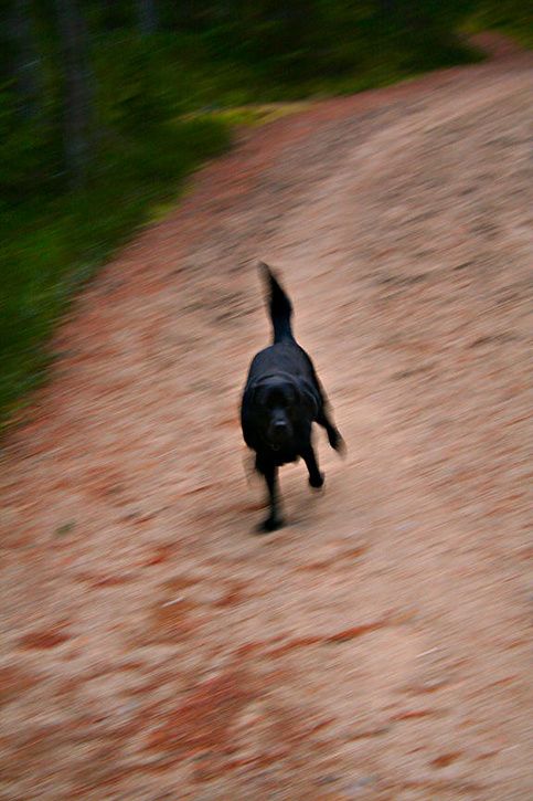 slr_test02.jpg ht=725