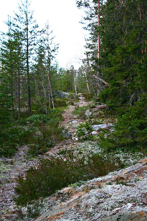 slr_test18.jpg ht=725