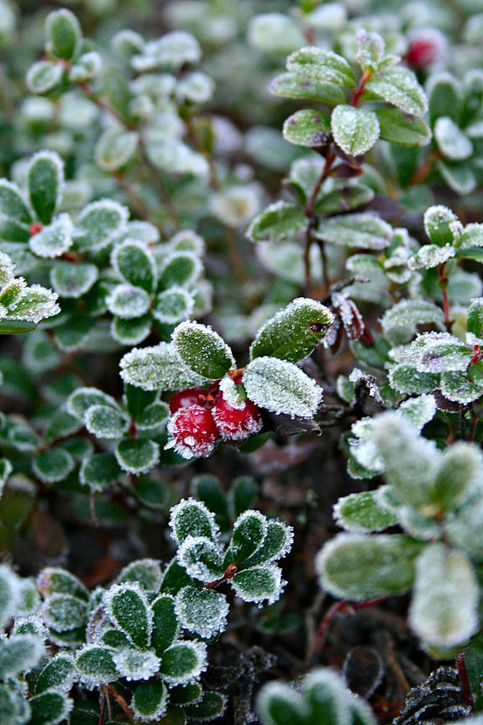 slr_test25.jpg ht=725