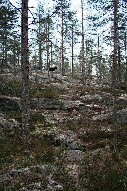 slr_test29.jpg ht=725