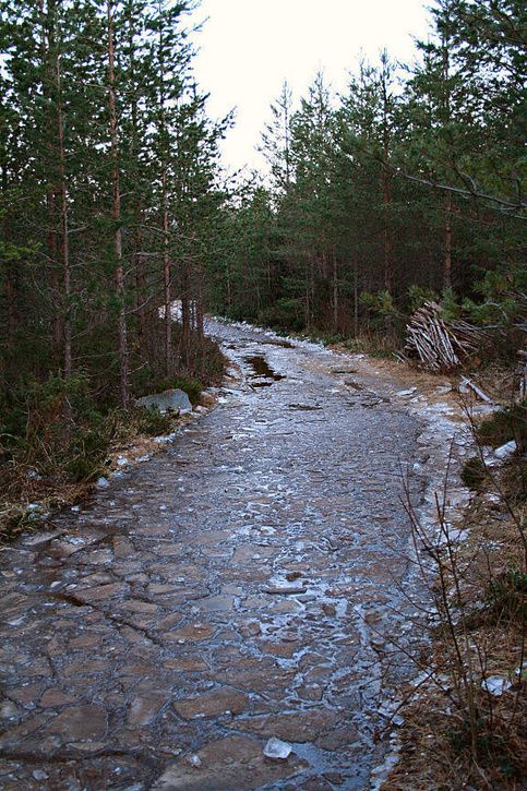 slr_test51.jpg ht=725