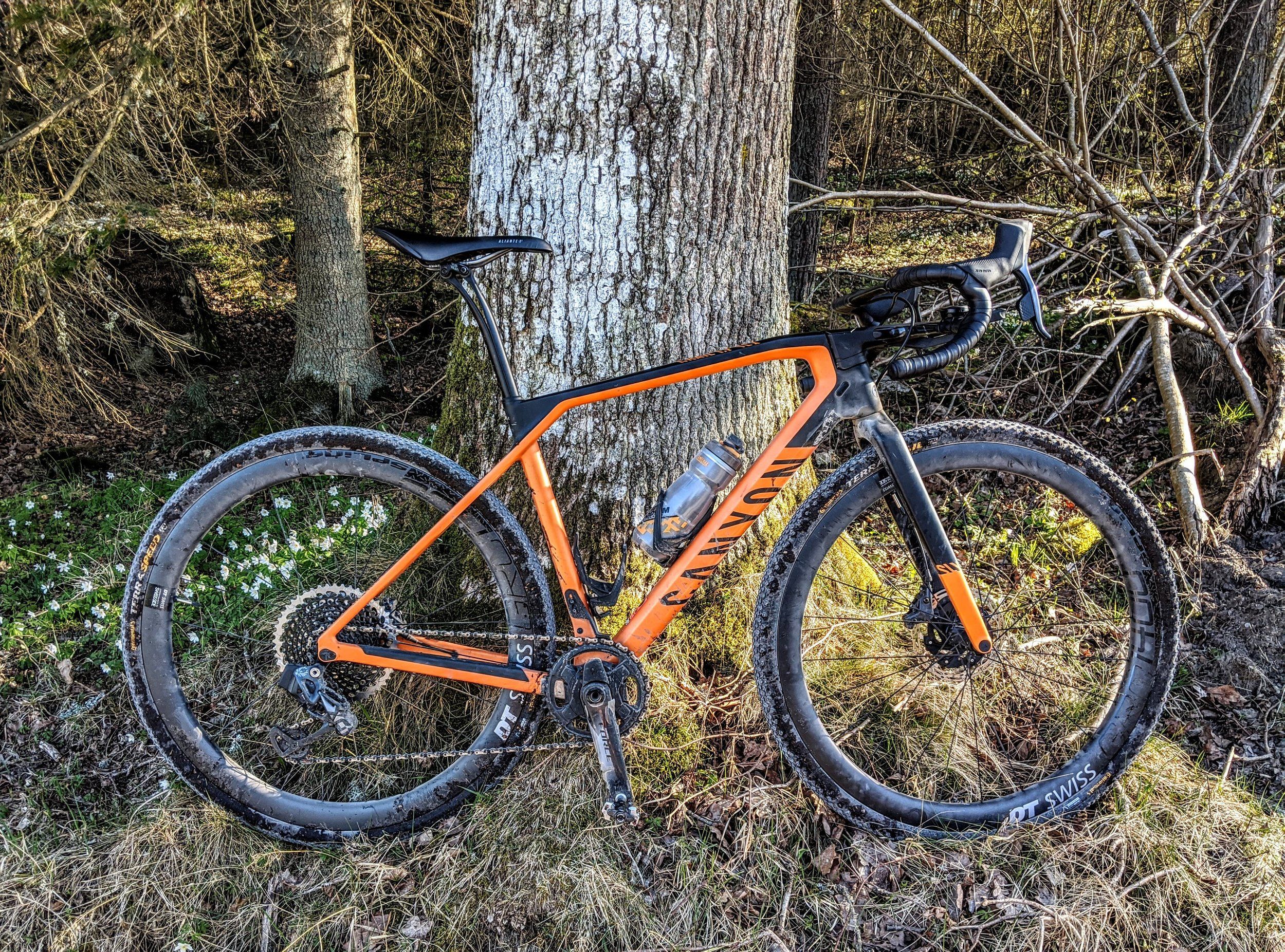 SLX forest orange.jpg
