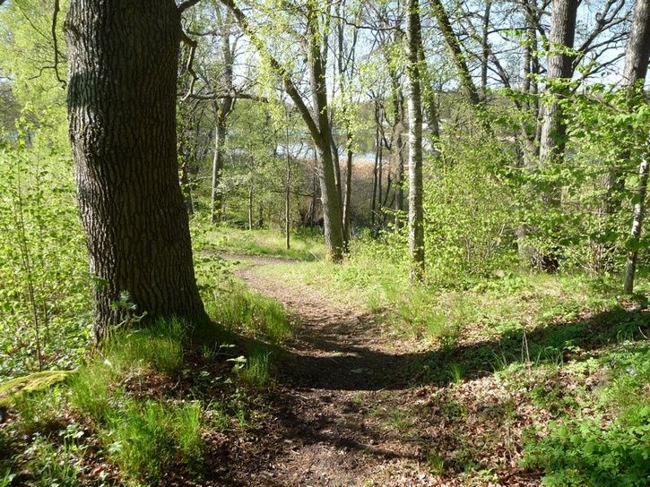 small_P1070130.JPG