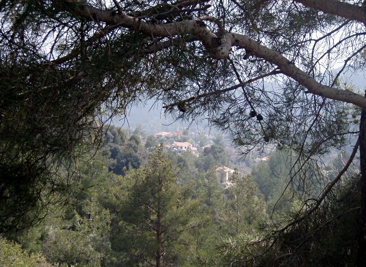 SmallVillage.jpg ht=528