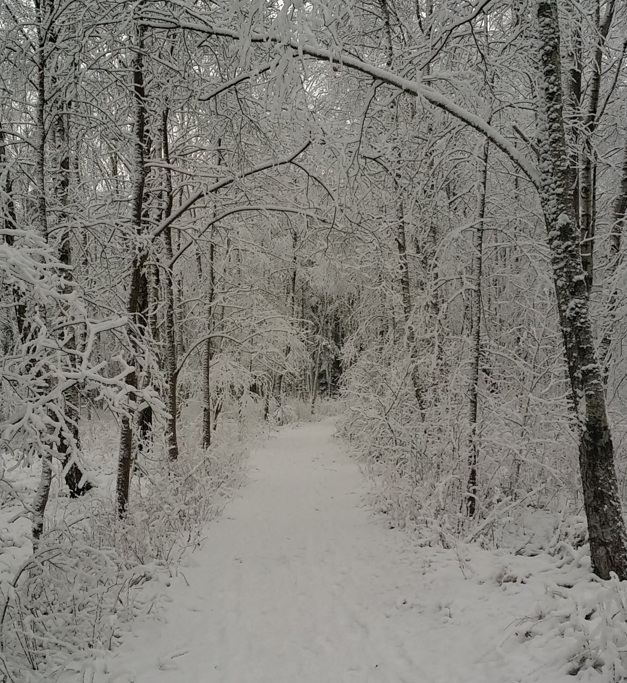 SmartSelect_20211119-162839_Gallery.jpg